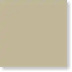 CP111